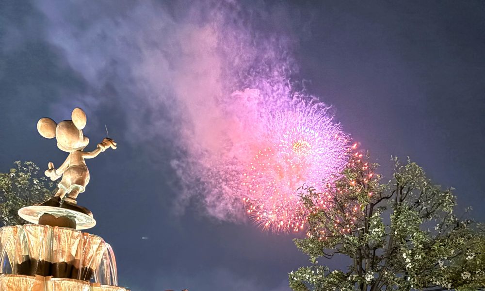 desnyland-firework